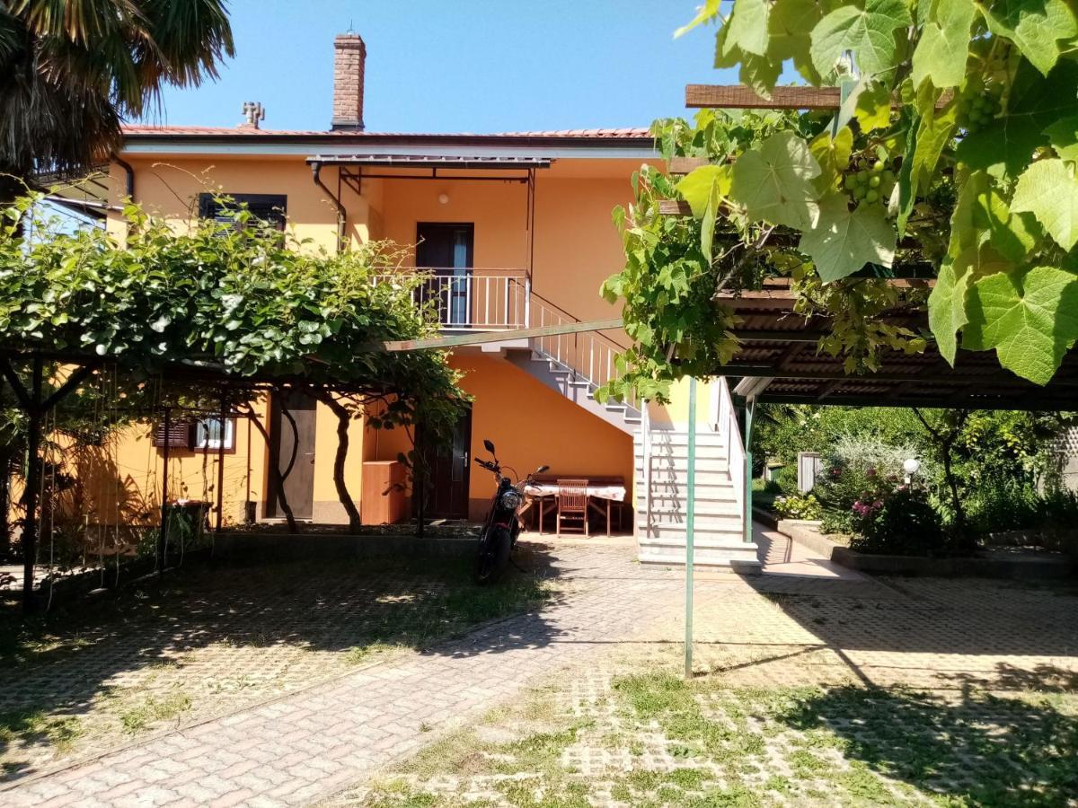 Violeta Apartment *